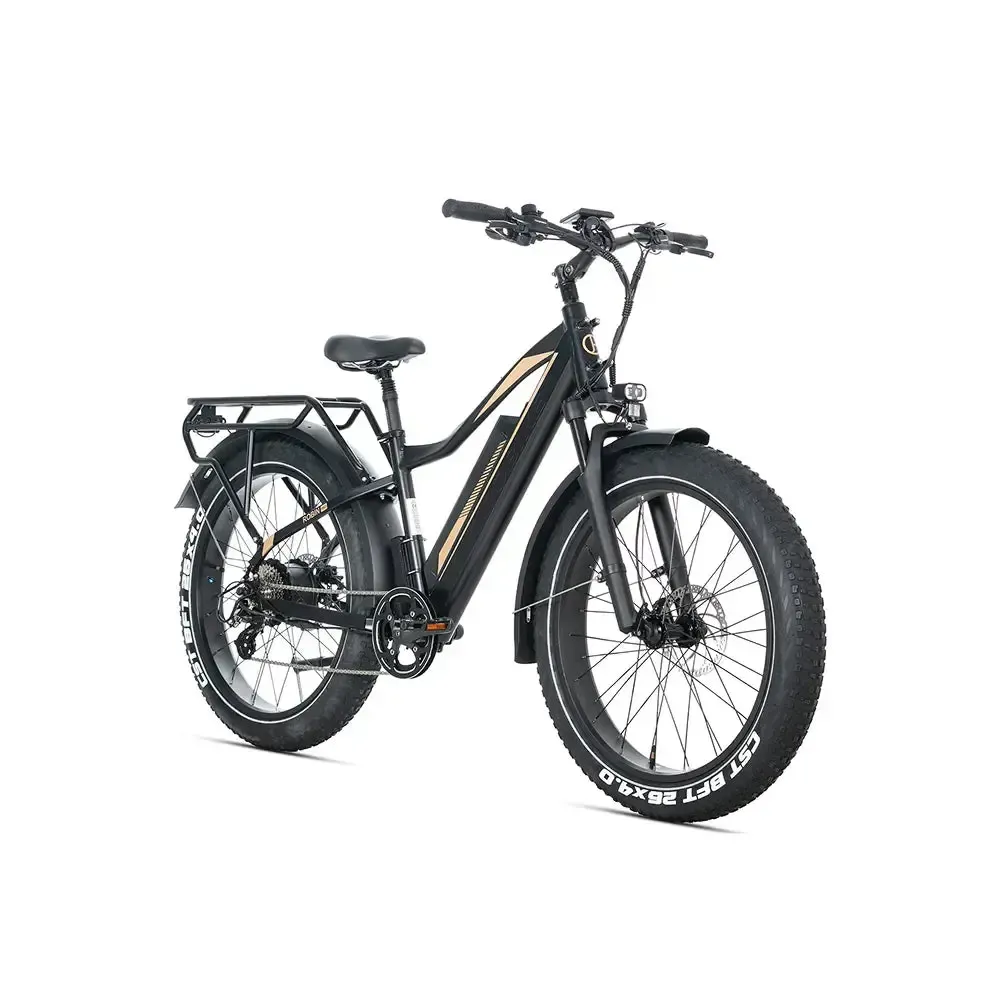 JOBOBIKE Robin Pro - Zwart-goud