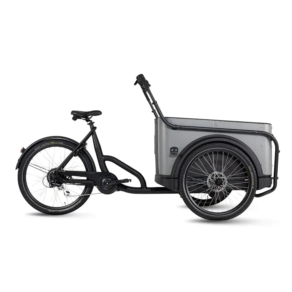 Royal Cargo Bike 3W Eco - Grijs