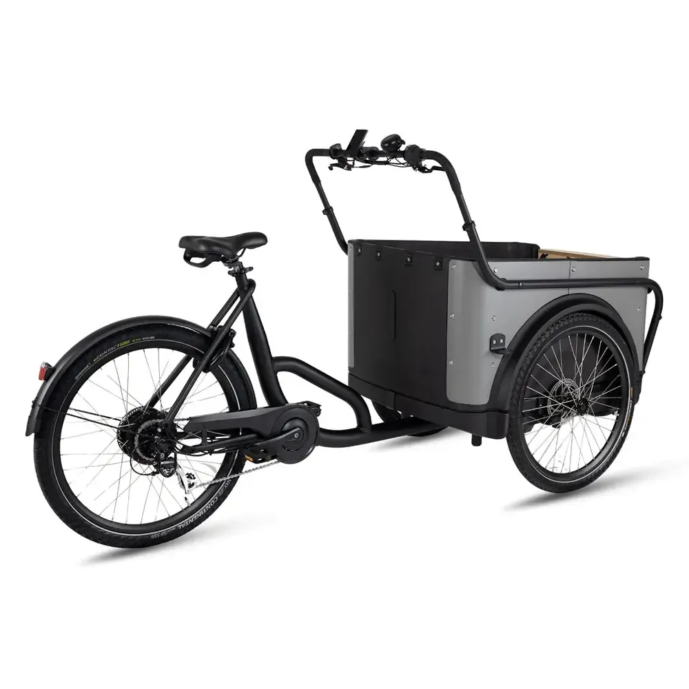 Royal Cargo Bike 3W Eco - Grijs