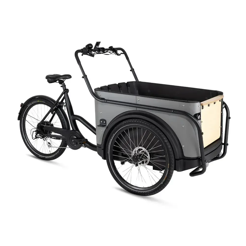 Royal Cargo Bike 3W Eco - Grijs