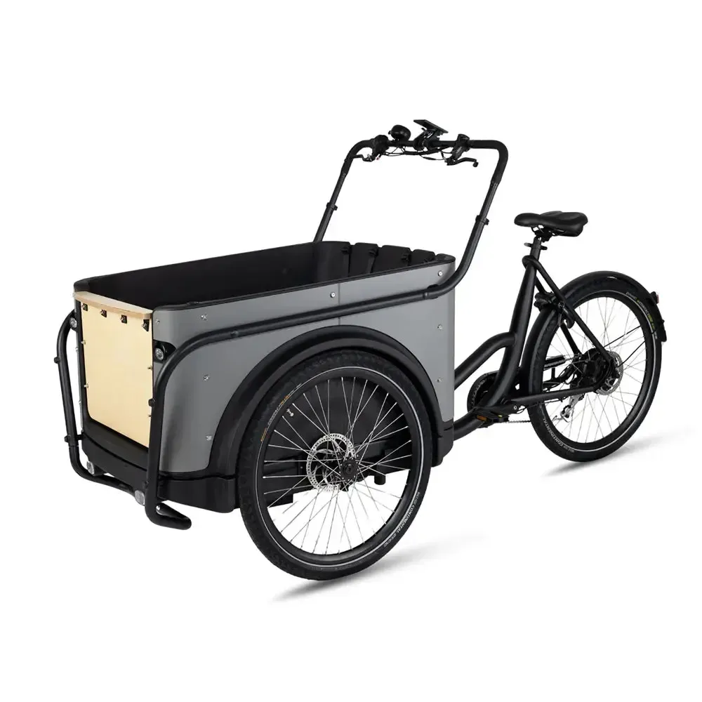 Royal Cargo Bike 3W Eco - Grijs