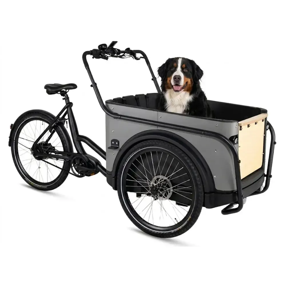 Royal Cargo Bike 3W Premium Plus - Taupe grijs