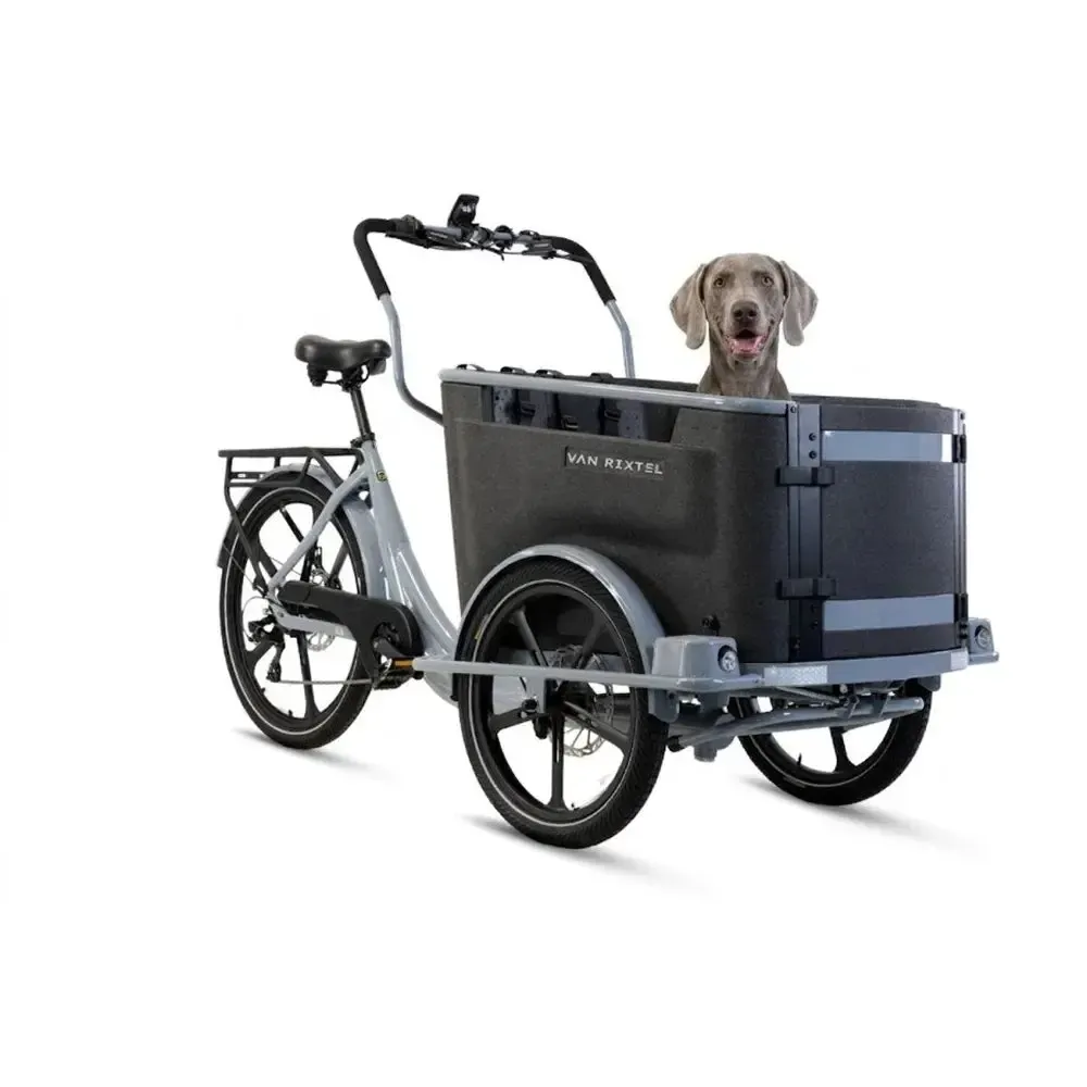 Van Rixtel Dog - Nardo grey