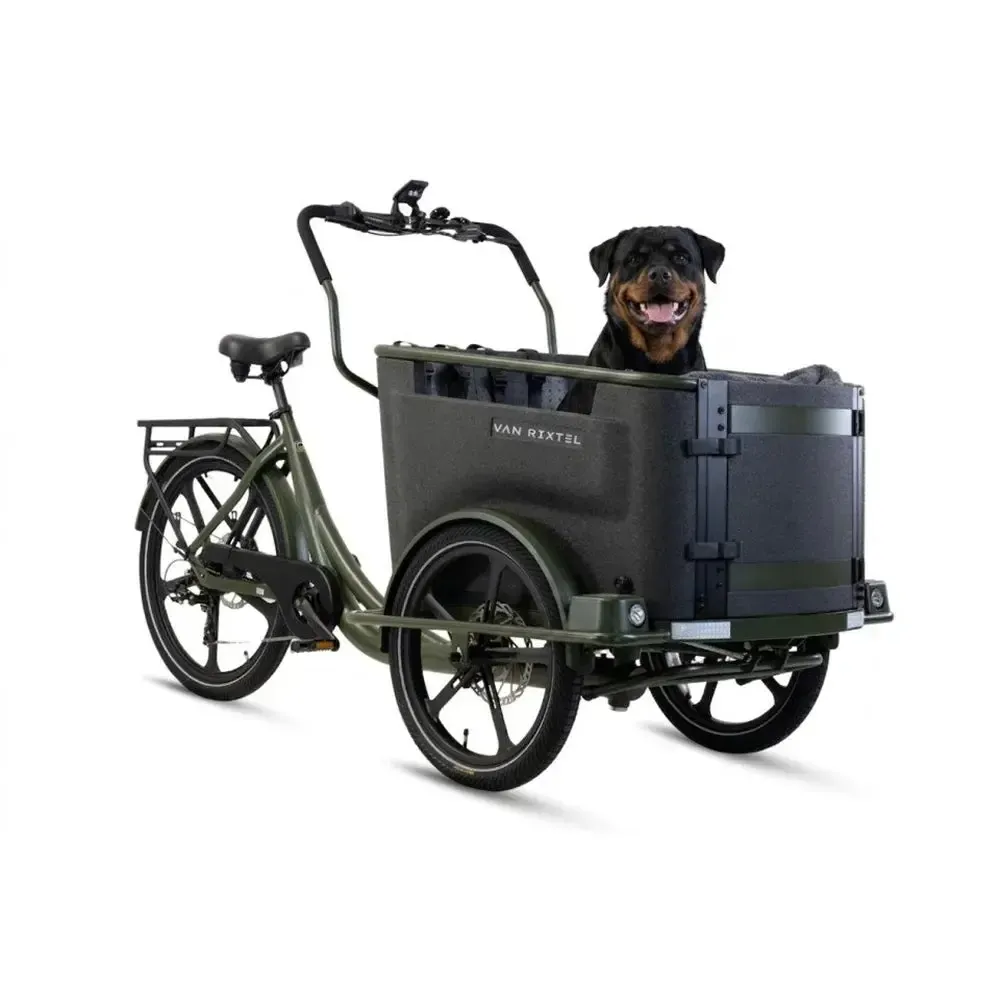 Van Rixtel Dog - Olive green