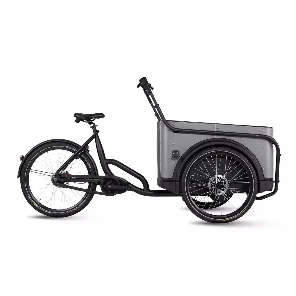 Royal Cargo Bike 3W Premium - Taupe